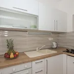 Pinto * ماكارسكا