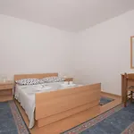 Pinto * ماكارسكا